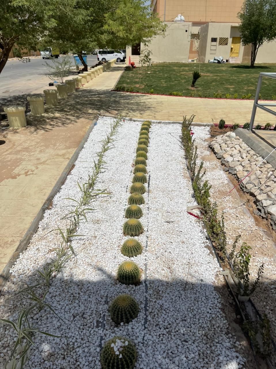 صورة المعرض